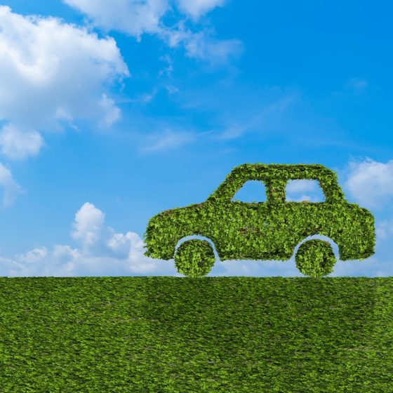 Eco-Friendly Art Moves: Can Art Shuttle Transportation Be Sustainable?
