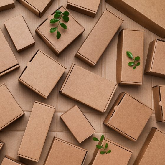 Sustainable Shipping Practices Every Business Should Know
