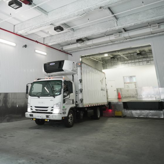 How Can an Art Shuttle Company Save Your Art? 3 Case Studies