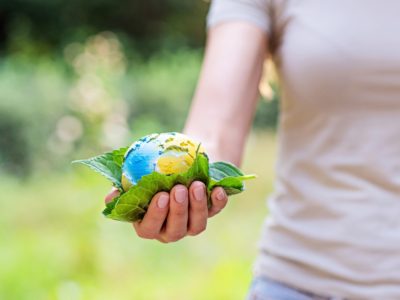 How to Organize Eco-Friendly Art Storage for Fragile Items