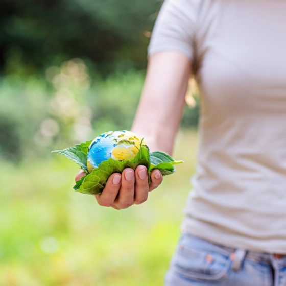 How to Organize Eco-Friendly Art Storage for Fragile Items