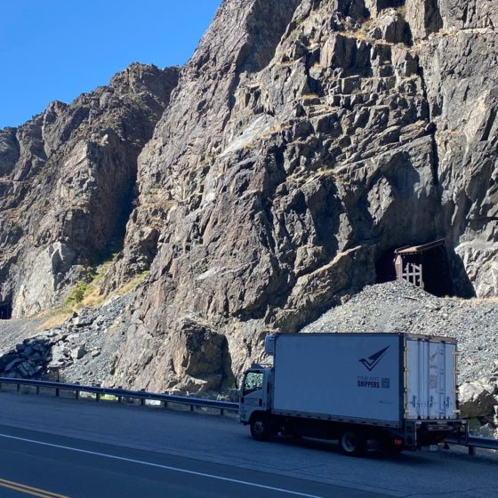 Art Shuttle Transportation Service: A Safe Option or an Extra Risk?
