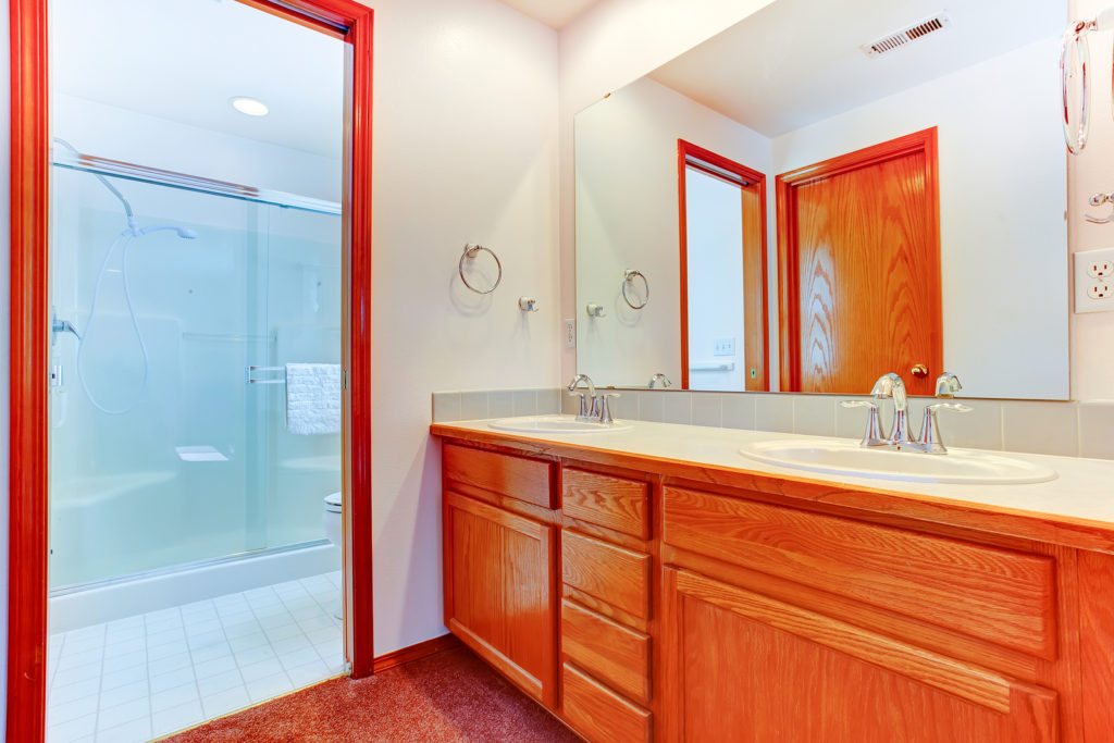 Glass Doors in the Bathroom Design: Pros and Cons