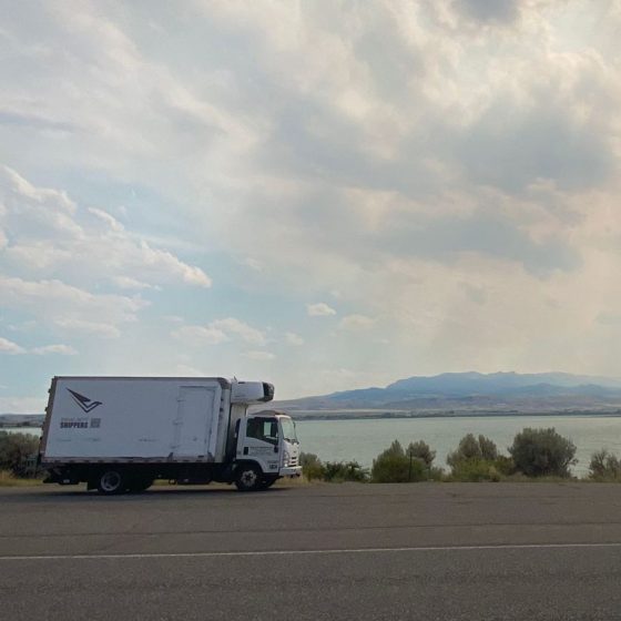 What Should a Climate-Controlled Art Shuttle Contain?