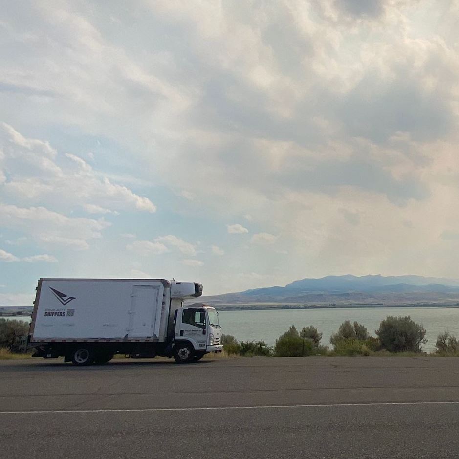 What Should a Climate-Controlled Art Shuttle Contain?