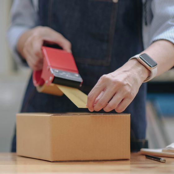 Specialized Packing for Coins, Jewelry, and Miniature Art
