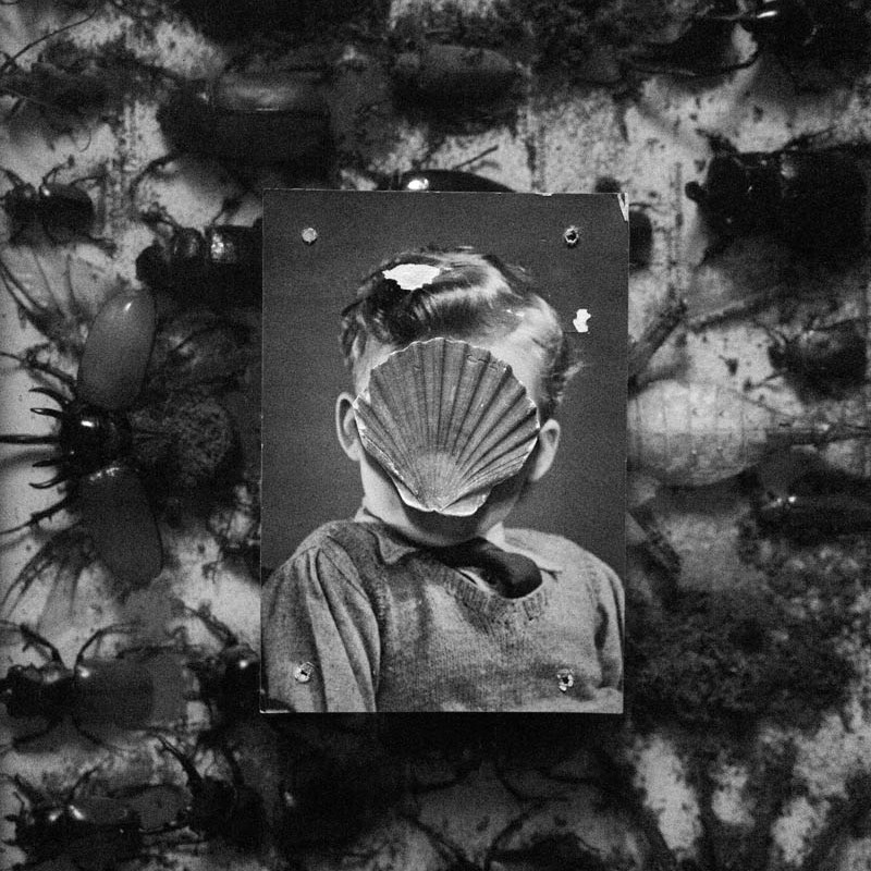 Exploration of Grief in the Photography Series by William Josephs Radford