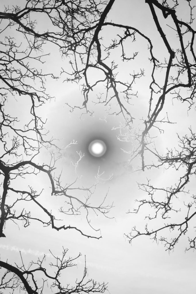 Exploration of Grief in the Photography Series by William Josephs Radford