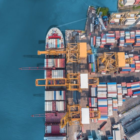 How to Manage Risks in Cross-Border Transportation