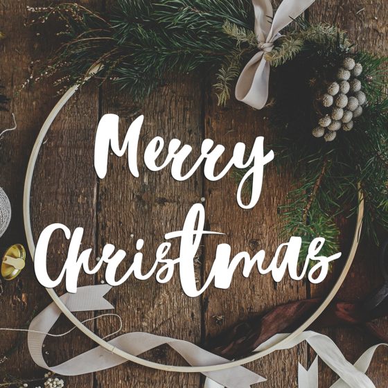 Sending You the Best Christmas Wishes! Happy Holidays!