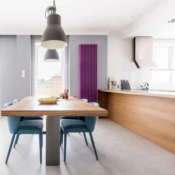 The Art of Heating: How Modern Radiators Are Shaping Interior Design