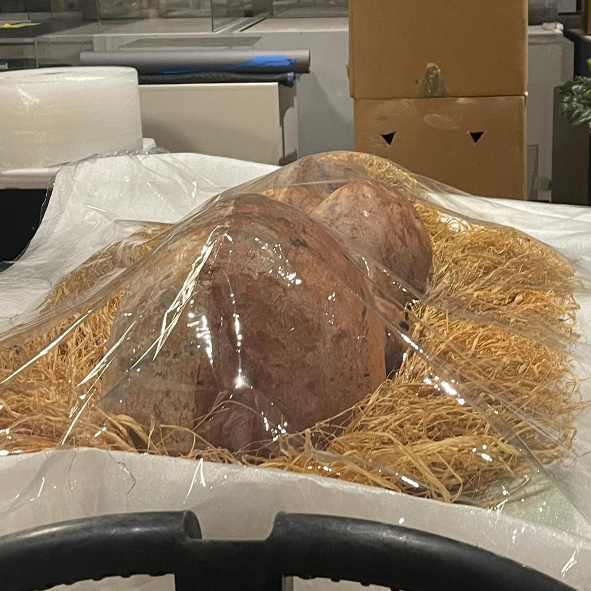 Packaging Artwork for Shipping: Sculptures and 3D Art