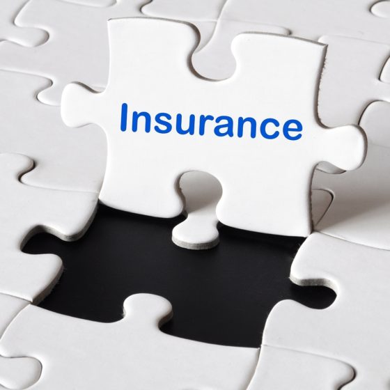 Fine Art Transport Insurance: Must-Have or Avoidable Cost?