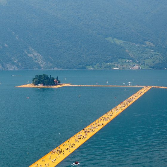 How Do Art Installation Companies Handle Projects in Eco-Fragile Zones?