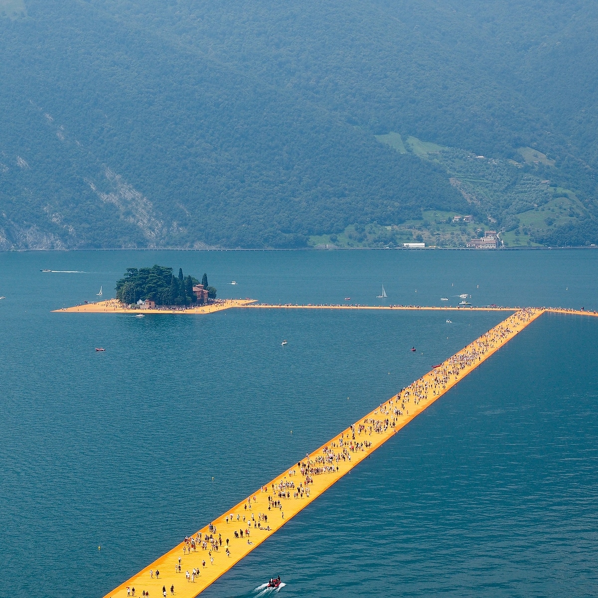 How Do Art Installation Companies Handle Projects in Eco-Fragile Zones?