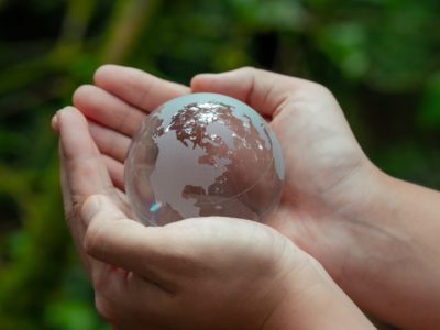 Fine Art Shippers Supports Environmental Conservation Activities