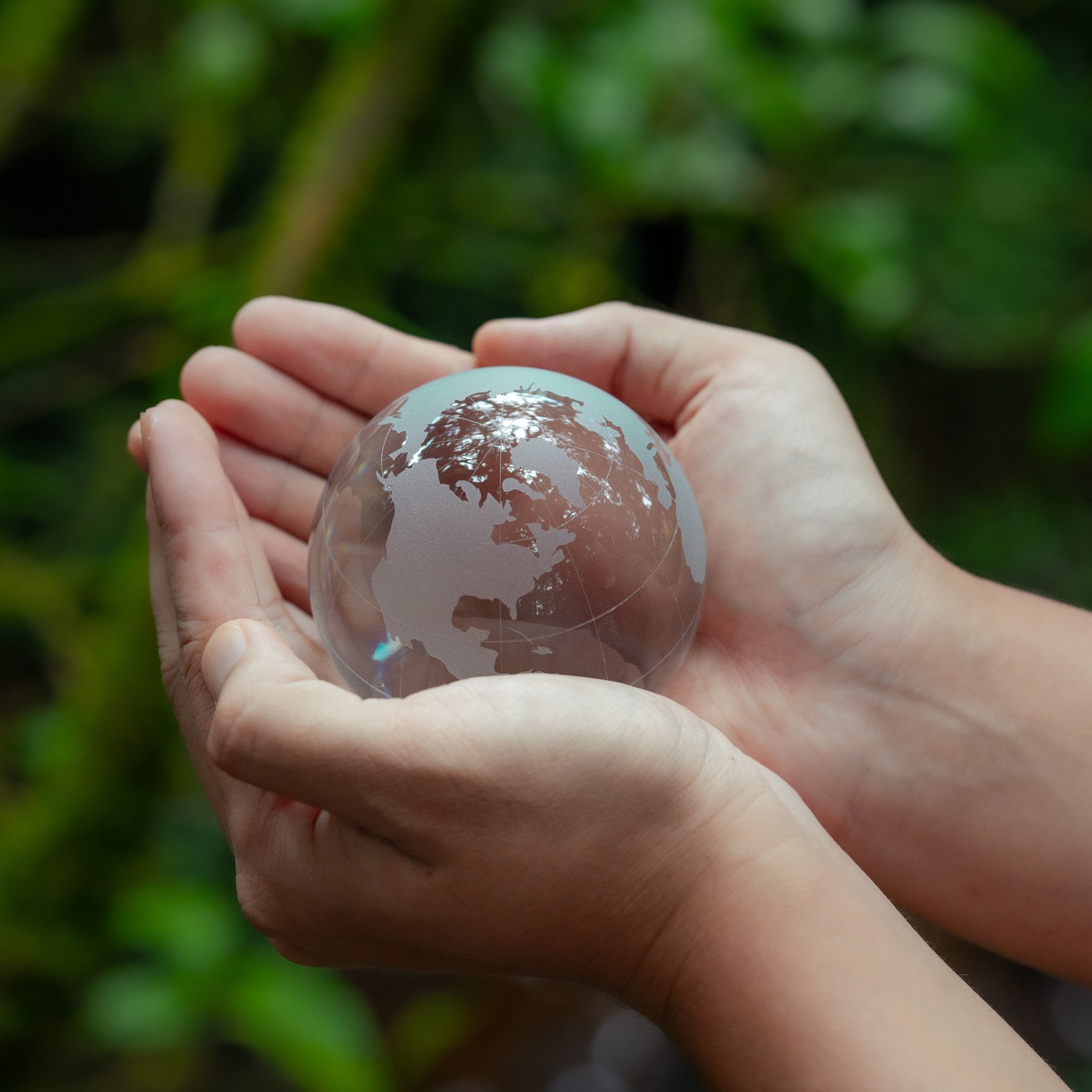 Fine Art Shippers Supports Environmental Conservation Activities