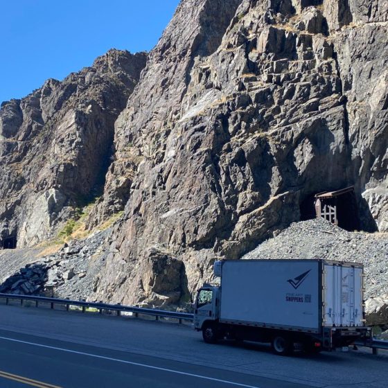 Museum-Quality Art Transport: Equipment, Features, and Use Cases