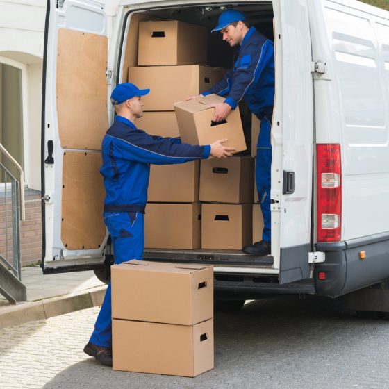 Art Shipping Company vs. Moving Company: Which Should You Hire?