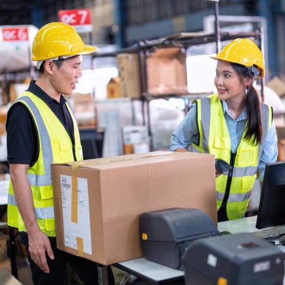 Why Standard Freight Companies Should Never Ship Fine Art