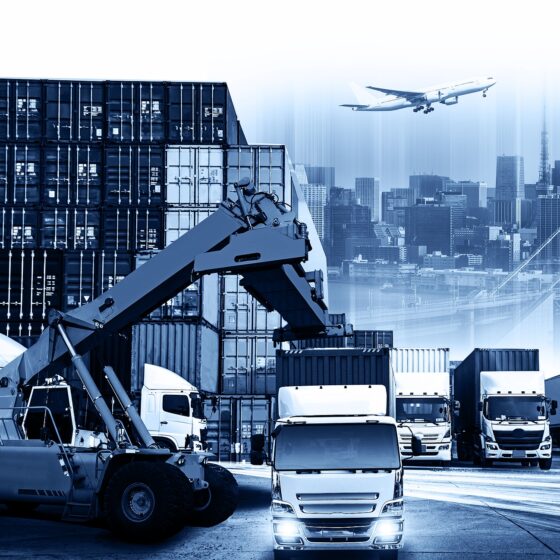 The Scope of Art Export Shipping Services: An Art Owner’s Guide