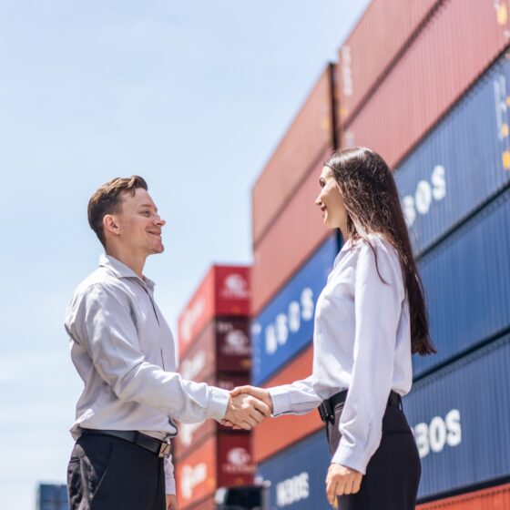 Art Import Logistics Services: Navigating US Customs with Confidence
