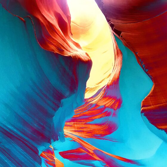 6 Arizona Contemporary Artists to Watch in 2026