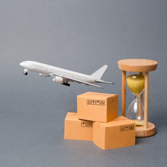 Navigating the Nuanced World of Temporary Export of Artwork