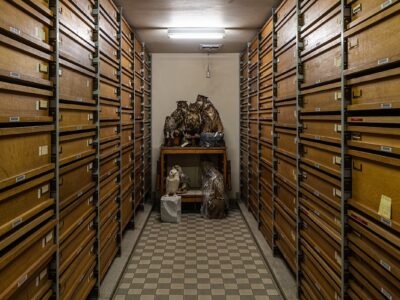 Inside Museum Art Storage: Where Does Art Actually Live?