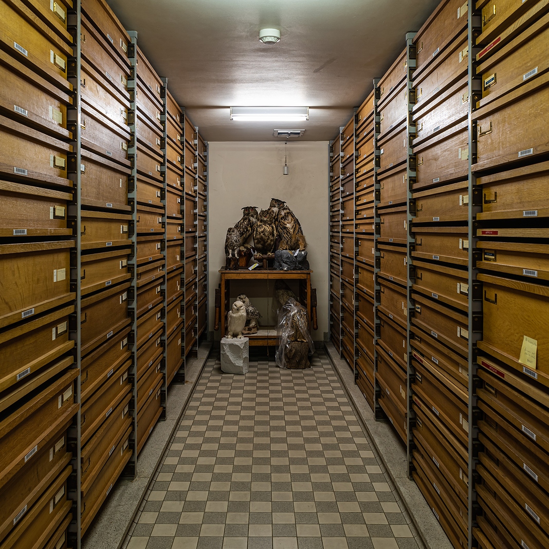 Inside Museum Art Storage: Where Does Art Actually Live?