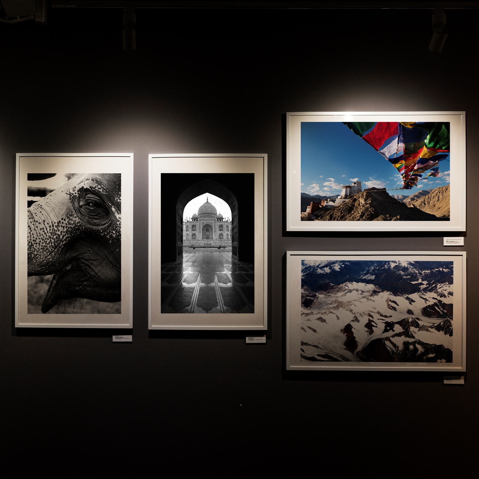 How an AI Image Editor Helps Preserve and Present Artwork Digitally