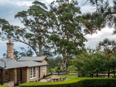 What Changes When an Art Collection Moves to the Australian Countryside