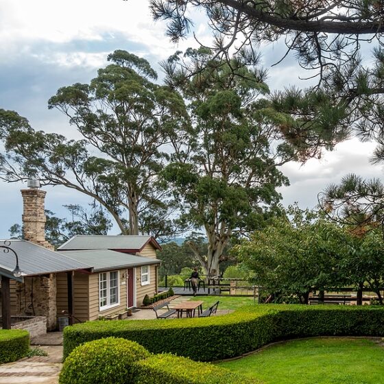 What Changes When an Art Collection Moves to the Australian Countryside