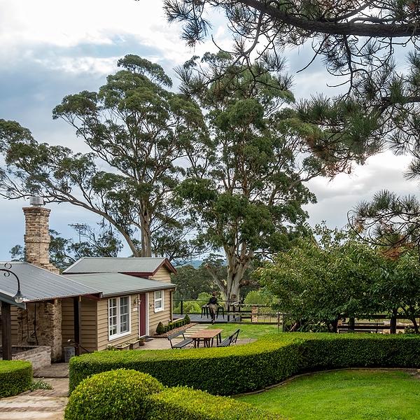 What Changes When an Art Collection Moves to the Australian Countryside