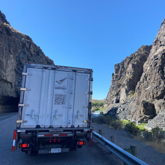 Museum Transport vs Commercial Art Shipping: Use Cases and More