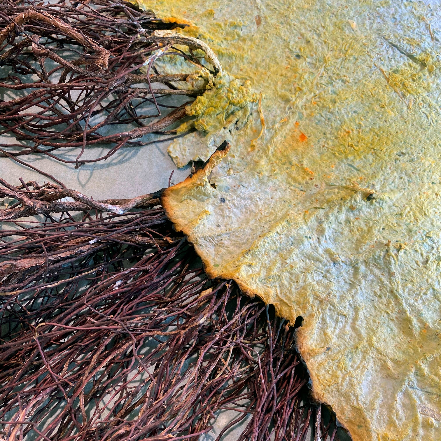 “The Parchments” by Emma Willemse: A Solo Exhibition at Nel Gallery