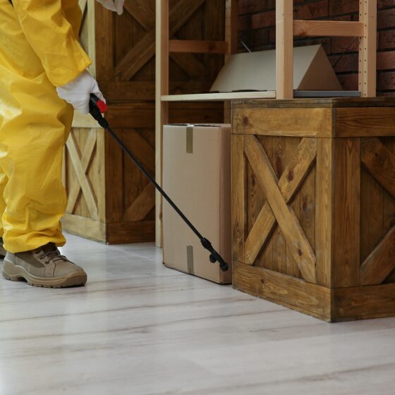 How Modern Pest Control Protects Art Collections and Storage Facilities