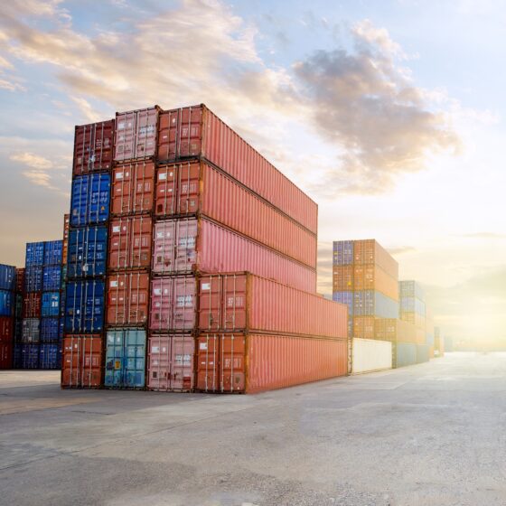 5 Ways Clean Data Prevents Costly Delays in International Art Shipping