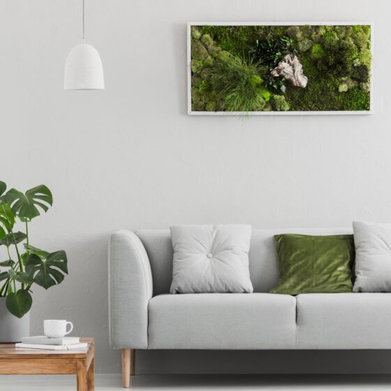 Five Decisions to Make Before Printing and Framing a Photograph